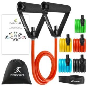 ProsourceFit Tube Resistance Bands Set 2 - 20 LB with Attached Handles, Door Anchor and Exercise Guide Full-Body Exercises and Home Workouts
