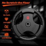 XDDIAS 2-Inch Olympic Rubber Weight Plates