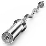 Holleyweb EZ Curl Bar for Strength Training