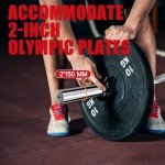 Holleyweb EZ Curl Bar for Strength Training