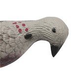 EVA Foam Pigeon Decoy Set for Shooting Practice