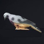 EVA Foam Pigeon Decoy Set for Shooting Practice