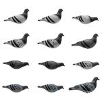 Final Approach Last Pass Gray Rock Pigeon Decoy