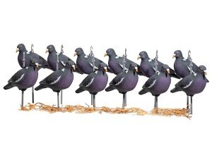 Heerweiyi Pigeon Decoys for Hunting, 12 Pack
