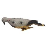3D Pigeon Archery Bait Decoys for Hunting