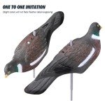 VicBre 6 Pack Dove Pigeon Decoys - 16 Inch