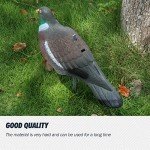VicBre 6 Pack Dove Pigeon Decoys - 16 Inch