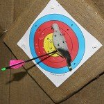 3D Pigeon Archery Bait Decoys for Hunting