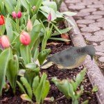 Realistic Miniature Pigeon Garden Yard Stake