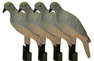 MOJO Outdoors Clip-On Dove Decoys - Set of 4