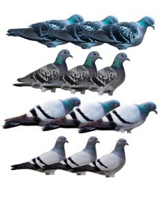 Banded GHG Pro Grade Pigeon Decoys 6-Pack
