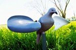 MOJO Spinning Wing Dove Decoy for Hunting