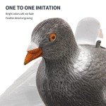 Realistic Full Body Pigeon Decoys – 3 Pack