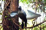 MOJO Spinning Wing Dove Decoy for Hunting