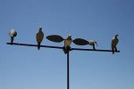 MOJO Outdoors Clip-On Dove Decoys - Set of 4