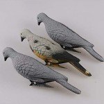 3D Pigeon Archery Bait Decoys for Hunting