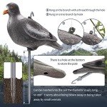 Realistic Full Body Pigeon Decoys – 3 Pack