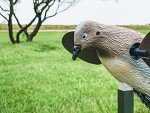Mojo Voodoo Dove Motion Decoy for Hunting