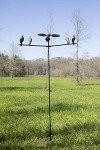 MOJO Outdoors Clip-On Dove Decoys - Set of 4