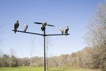 MOJO Outdoors Clip-On Dove Decoys - Set of 4