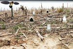 MOJO Dove-A-Flicker Spinning Wing Decoys - 4 Pack