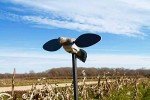 MOJO Elite Dove Decoy with Spinning Wings