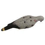 3D Pigeon Archery Bait Decoys for Hunting