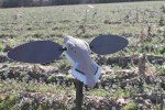 MOJO Elite Dove Decoy with Spinning Wings