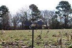 MOJO Elite Dove Decoy with Spinning Wings