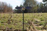MOJO Elite Dove Decoy with Spinning Wings
