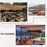 Desert Camo Netting for Pigeon Hunting - 10x20ft