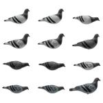 Final Approach Last Pass Gray Rock Pigeon Decoy