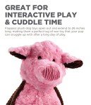 Charming Pet Cuddle Tugs Pig Tug Toy