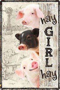 Hay Girl Hay Vintage Pig Wall Sign