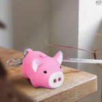 Adorable Pig Keychain Set with Light