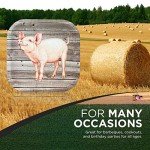 Cute Piggy Birthday Plates for Outdoor Fun