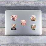 Cute Pig Stickers - 100 Large Decals Pack