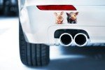 Cute Pig Stickers - 100 Large Decals Pack