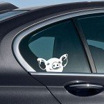Cute Baby Pig Vinyl Car Decal Sticker