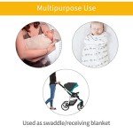 Adorable Piggy Swaddle Blanket and Hat Set