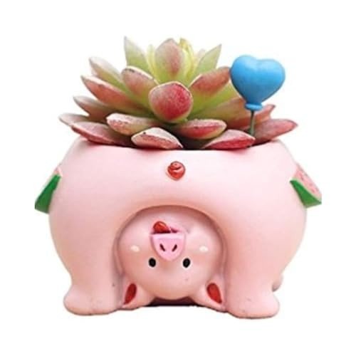 Pig Garden