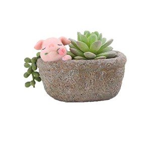 Cute Pig Planter for Home and Office Decor
