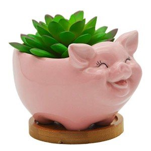 Cute Pig Shaped Succulent Planter with Tray