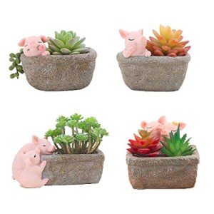 Adorable Pig Succulent Planters for Home Decor