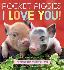Adorable Teacup Pigs: I Love You!
