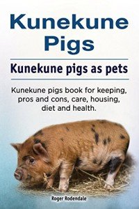 Ultimate Guide to Kunekune Pigs as Pets