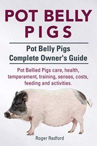 Ultimate Guide to Caring for Pot Belly Pigs