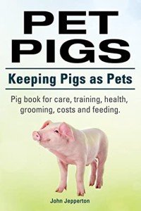 Cute Pig Care: Training, Health, and Grooming Guide