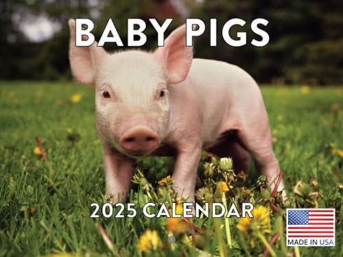 Pig Calendars