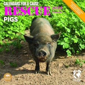 Cute Pigs Rescue Monthly Calendar 2025